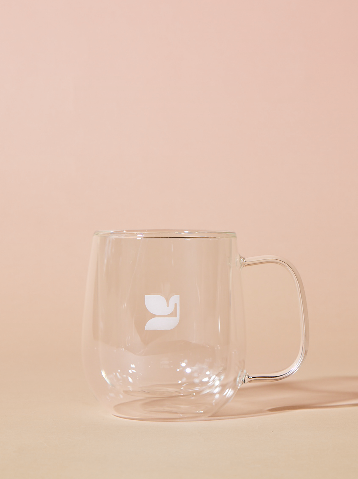 Double Wall Glass Mug